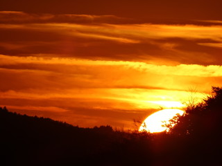 Bye Sun