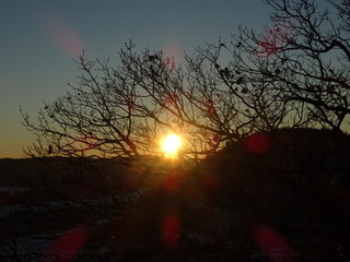 Fototapeta premium See u tmrw