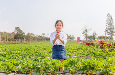 Happy girl child holding fresh red organic strawberries in the garden