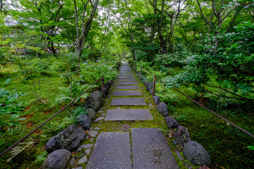 Fototapeta na wymiar 緑の庭園と石の小道
