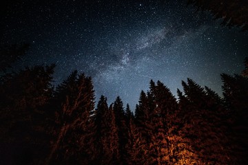 Milky way nature landscape. Evergreen pine forest illuminated by the campfire. Summer season.