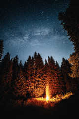 Campfire in the wilderness majestic forest under the starry sky. Milky way concept.