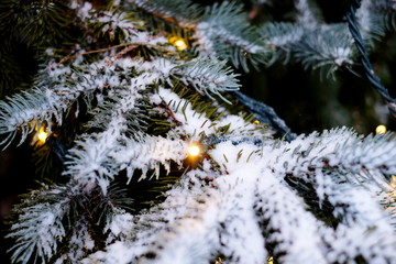 Christmas tree in the snow and lights