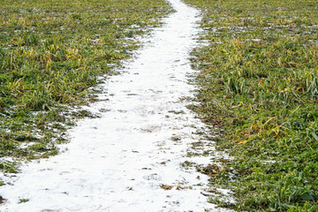 Fototapete bei efototapeten.de bestellen   