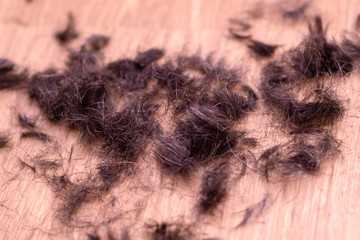 sheared hair on a wooden floor
