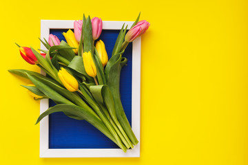 Beautiful tulip  flowers  on blue pattern texture of crumpled paper with white photo frame, yellow background. Spring and Easter  Frame Concept. Flat lay. Blank Space
