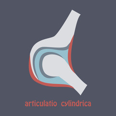 Knee joint health care icon flat