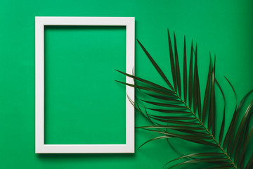 Branches of green palm leaves on green background with white photo frame. Ecology and Summer Frame Concept. Flat lay. Blank Space