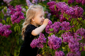 Fototapeta premium little girl in a denim suit walks in the lilac garden in the spring