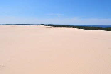 Dunes in Slowinski National Park (Polish: Słowiński Park Narodowy), called Leba desert, Poland