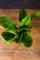 Fresh green spinach
