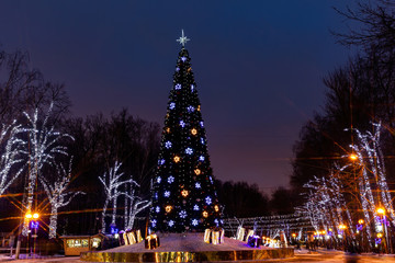 Colorful Christmas tree in the Park at night.