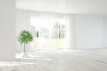 Stylish empty room in white color with green home plant and summer landscape in window. Scandinavian interior design. 3D illustration