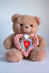 valentines day bear with heart