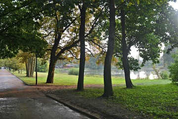 Park pałacowy w Białowieży jesienią, Białowieża, Polska