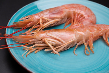 Prawns on a turquoise plate on a black background