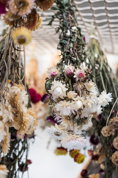 Bunches of flowers hanging to dry