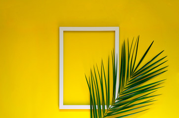 Tropical background in orange with a palm branch.