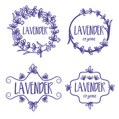 Set of template label design of beautiful abstract lavender flowers. Vector illustration