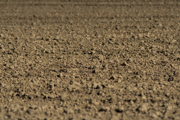 plowed field