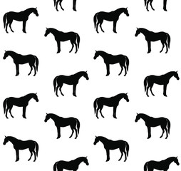 Vector seamless pattern of black horse silhouette isolated on white background