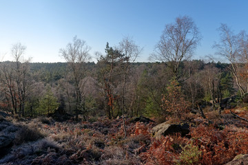 Gorge des Archers hiking trail in  Fontainebleau forest 