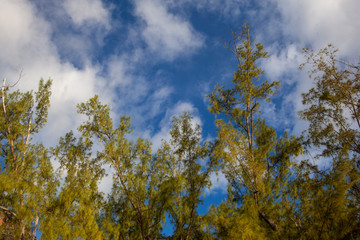 Mauritius