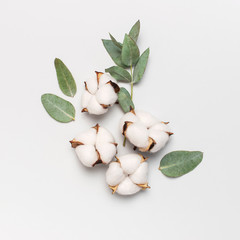 Flat lay flowers composition. Cotton flowers and fresh eucalyptus twigs on light gray background....