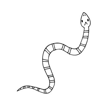 Vector hand drawn doodle sketch coral aspid snake isolated on white background