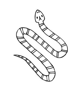 Vector hand drawn doodle sketch snake isolated on white background