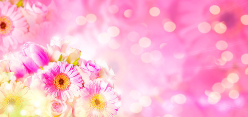 Gerbera, tulips, roses on pink background with copy space, banner with bokeh