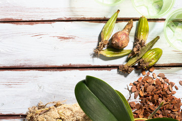 Preparing for planting an orchid. Garden tools on a wooden background. Home gardening.