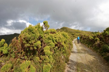 Azoren - São Miguel - Lagoa do Fogo - Wanderweg von Agua de Alto © Uwalthie Pic Project