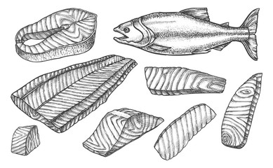 Sketch icons of salmon fish cut, filet and steaks - obrazy, fototapety, plakaty