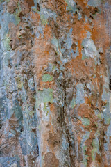 Obraz premium Mauritius