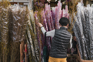 Flower Market in Mongkok, Chinese New Year celebration in Hong Kong