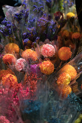 Peonies in Flower Market in Mongkok, Chinese New Year celebration in Hong Kong