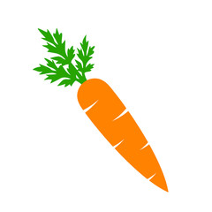 Carrot vector cartoon