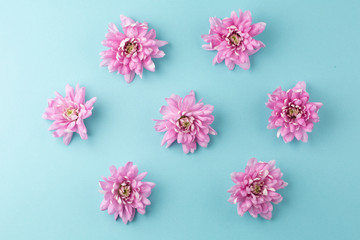 Composition of pink flowers on blue background. Background for Valentine Day, Mothers Day or Birthday. Top view.