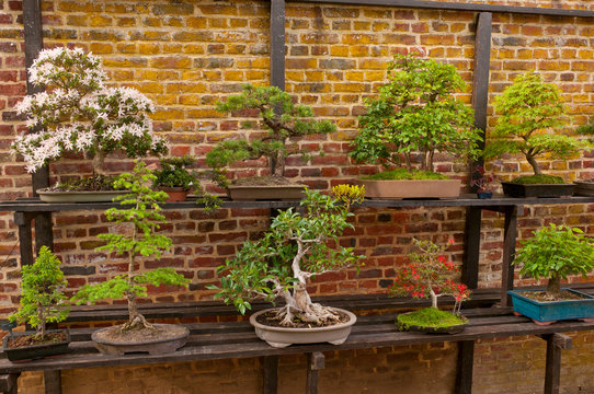 La f&ecirc;te des plantes de la Citadelle de Doullens (Somme)