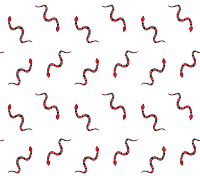 Vector seamless pattern of colored hand drawn doodle sketch coral aspid snake isolated on white background