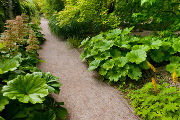 Les jardins de l'abbaye de Valloires (80)