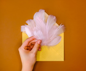 Feather in envelope.
