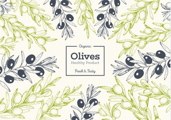 Olives hand drawn vector illustration. Healthy and organic food design template. Vintage style image.