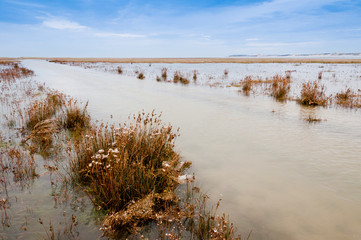 Les mollières inondées par la grande marée en Baie d'Authie