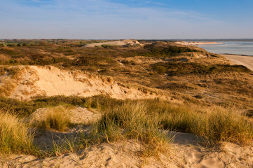Fototapeta na wymiar La Baie d'Authie, depuis les hauteurs des dunes
