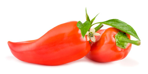 Sweet pepper on white background