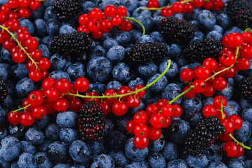 Blackberry, raspberry, blueberry,  red currant and mint background.