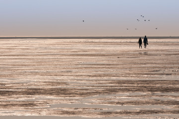 Fototapeta na wymiar Couple de promeneurs dans la Baie de Somme