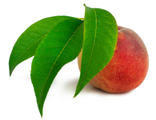 Peach isolated on a white background